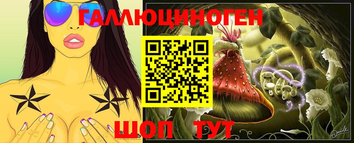 купить наркоту  Галлюциногенные грибы мицелий  Вход с VPN  Балтийск  Галлюциногенные грибы Psilocybine cubensis 