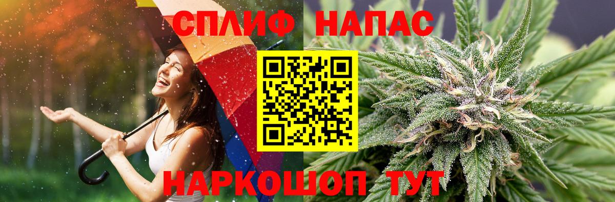 Бошки марихуана OG Kush Балтийск